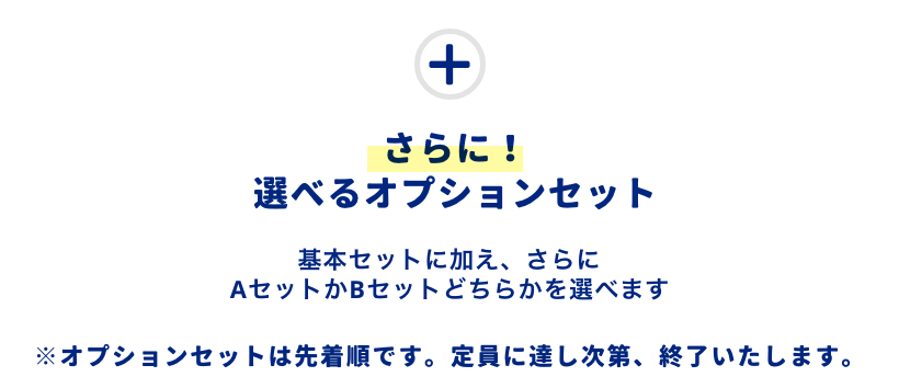 optionSet-title