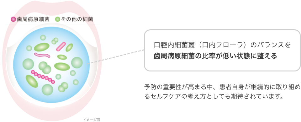 口腔内細菌叢のイメージ図