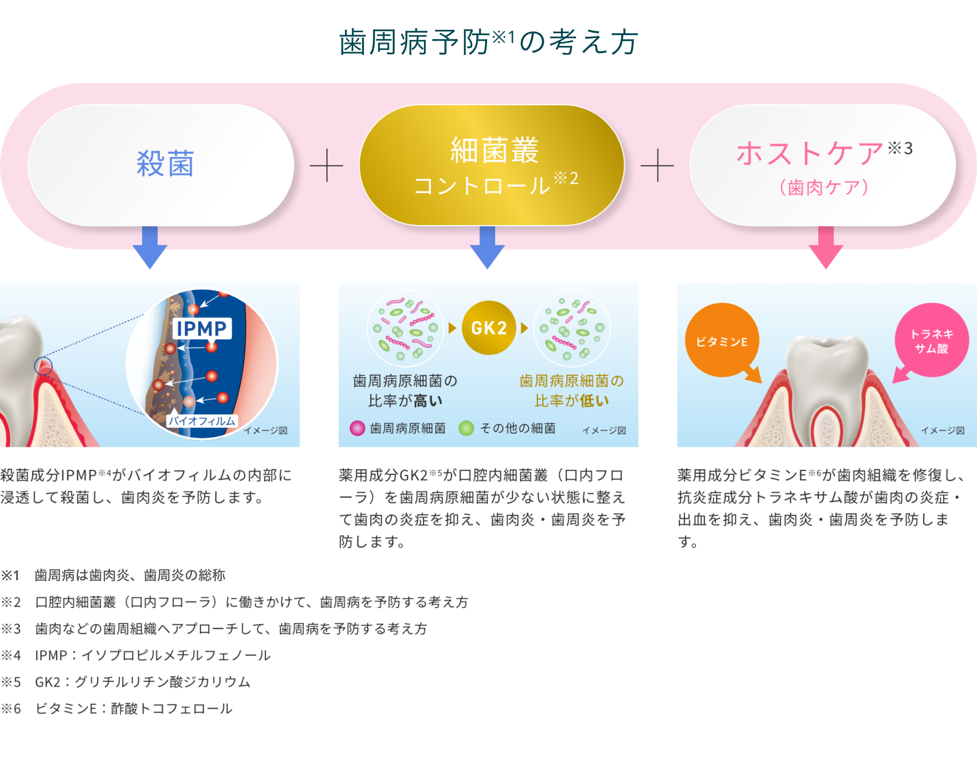 歯周病予防の考え方の図