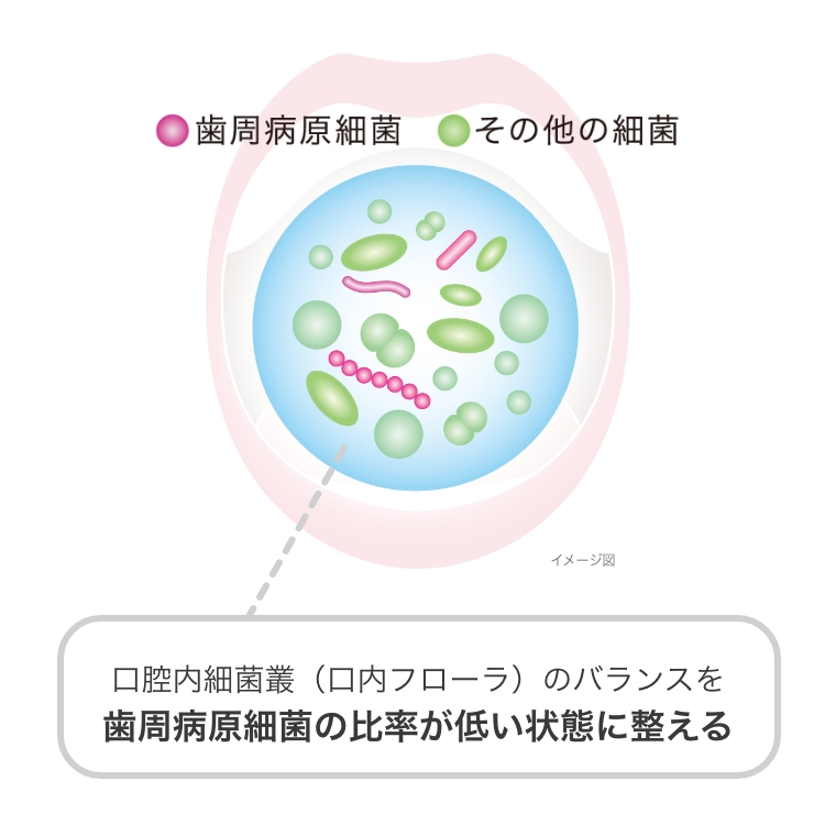 口腔内細菌叢のイメージ図